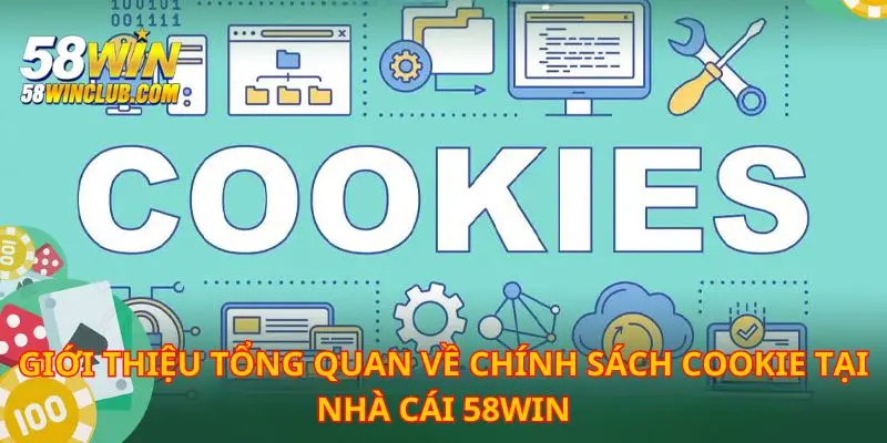 Chính sách cookie là quan tâm hàng đầu khi tìm hiểu nhà cái